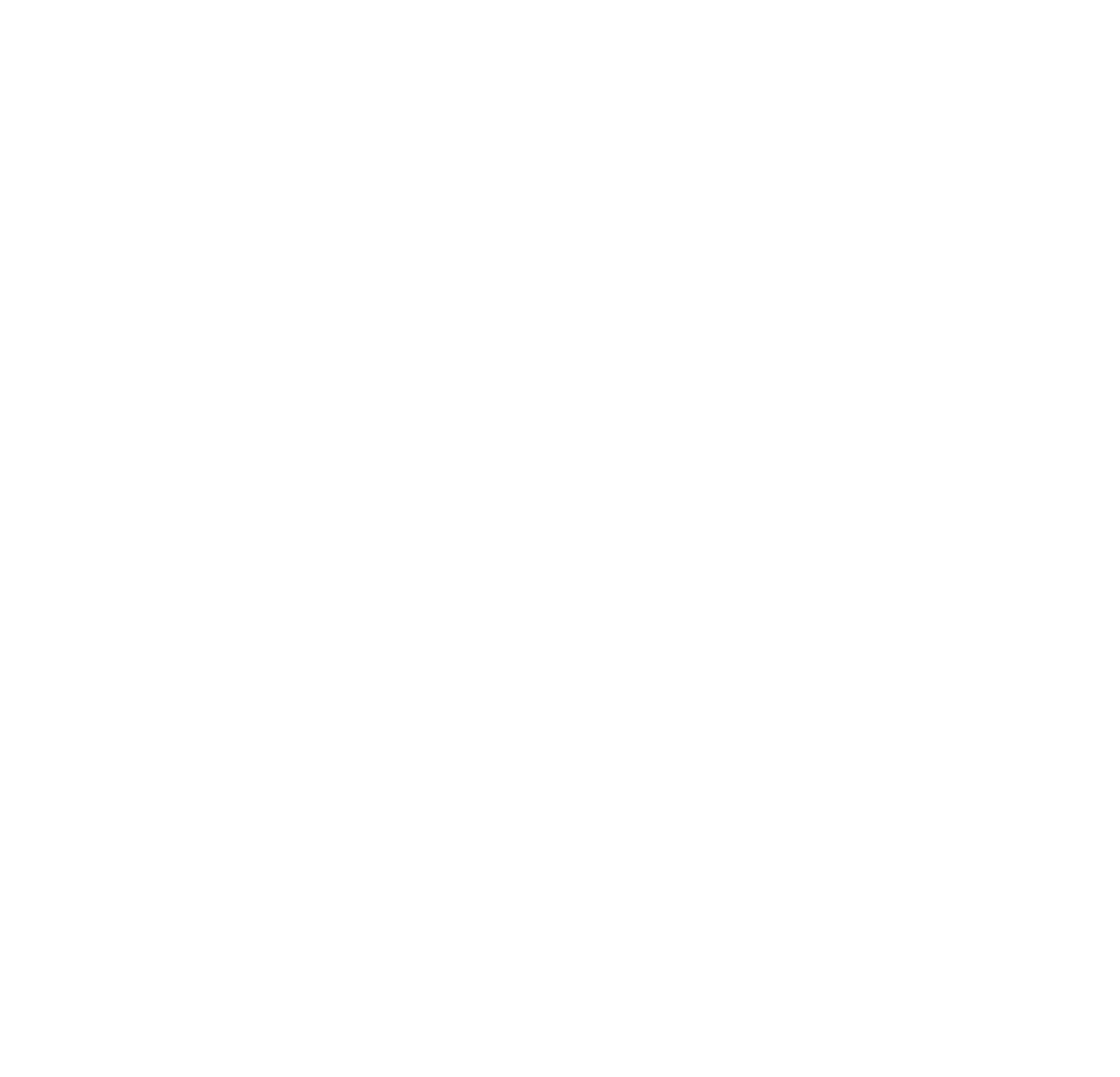 Ninja Padel logo